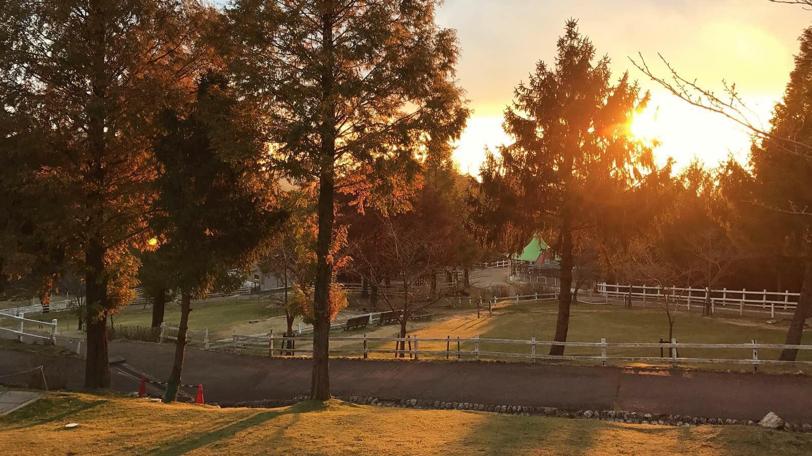 关西温泉六日游,大阪关西机场温泉