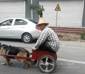 我们老板就爱抽这烟,160元一包一天基本两包