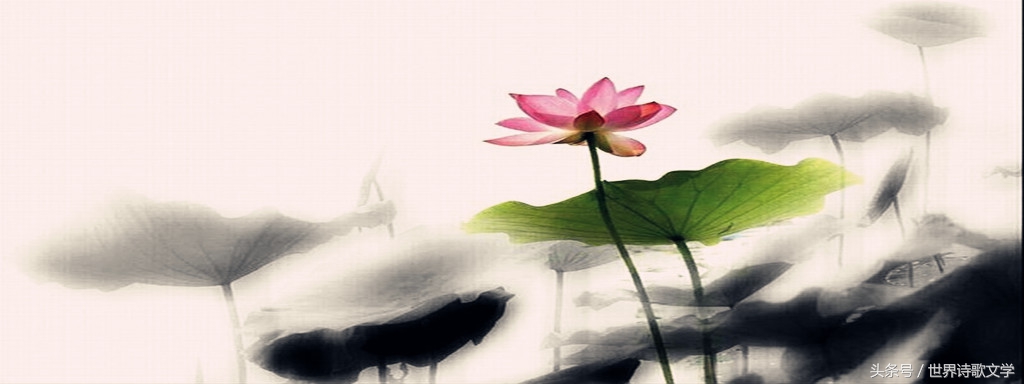 诗歌大赛第一名的诗,第一季诗词大赛