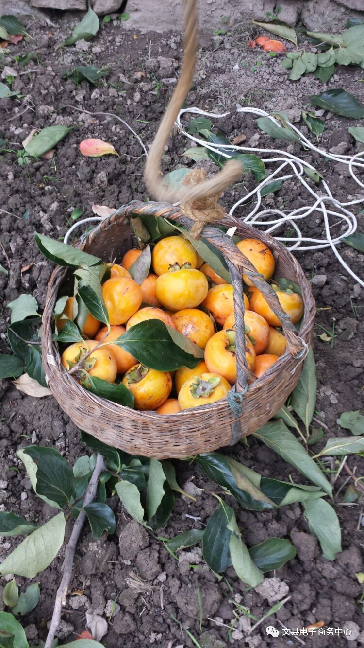 文县贾昌一个“胖子”变”瘦子“的过程