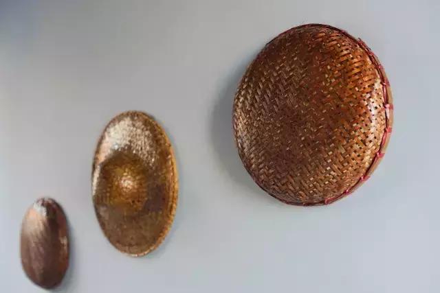 闇插彴澶氳倝鑺卞洯椁愬巺,澶氳倝妞嶇墿椁愬惂