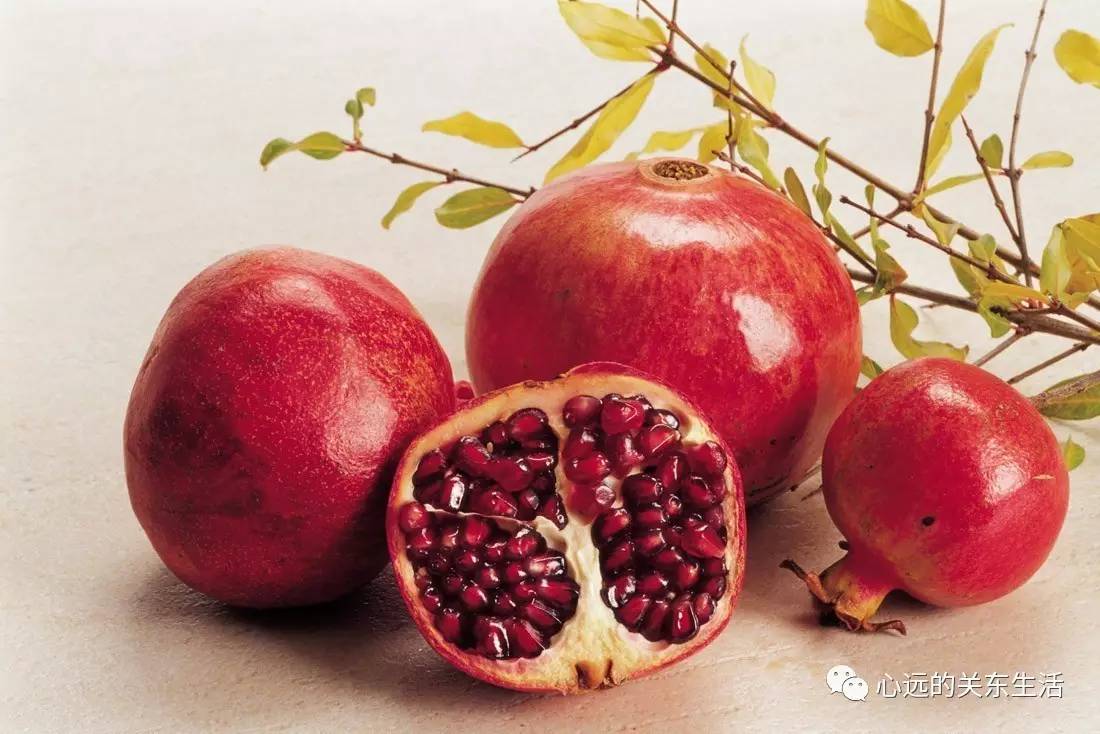 外国人在中国买买买些什么