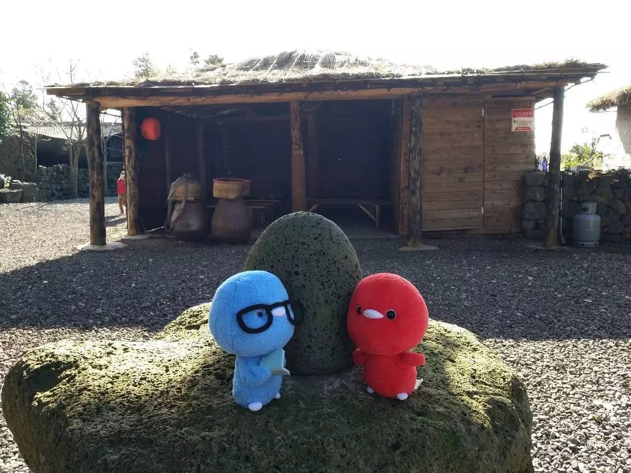 世界足球日足球初体验图片,历届世界足球日主题