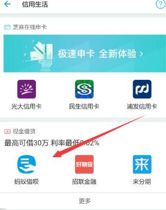 花呗借呗白条哪个更划算,花呗和借呗京东白条哪个利息低