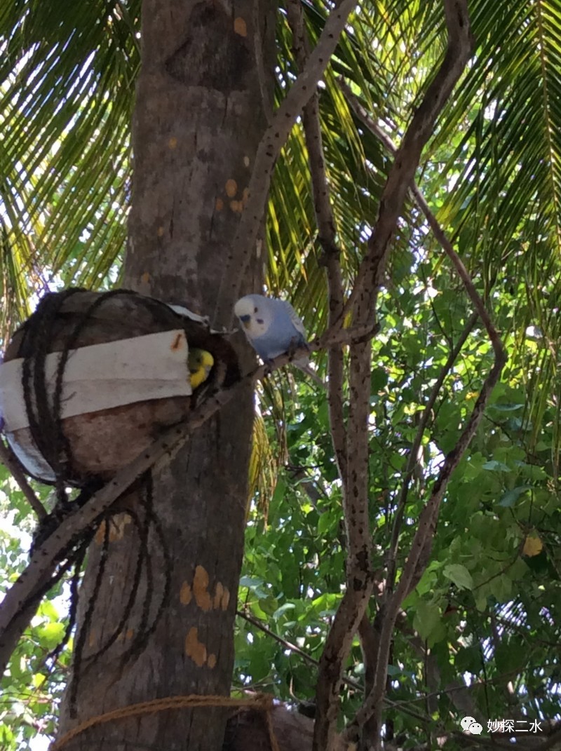 蹇冭摑娓呰繙,myblueheart