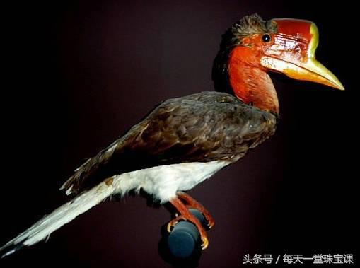 这四种有毒的玉石请远离,四种最害人的玉石