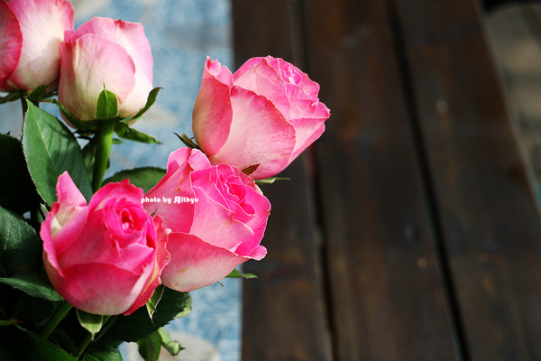 世界上最浪漫的圣诞餐厅,上海圣诞浪漫晚餐