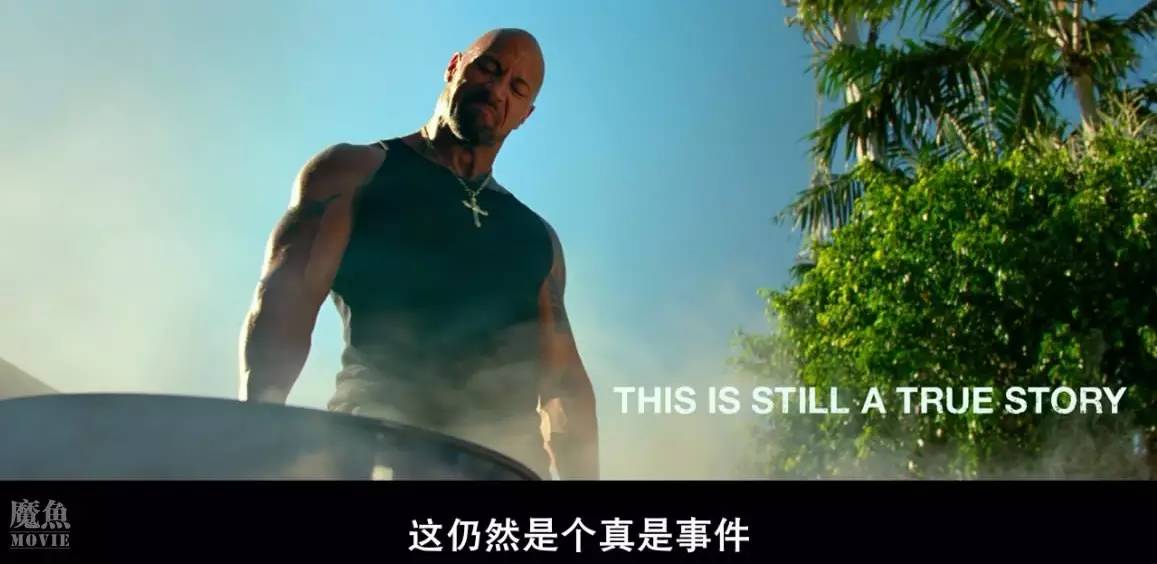 巨石强森演的以暴制暴电影,巨石强森演的灾难片