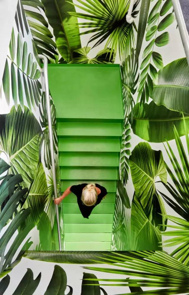 年度流行色盘点,流行色2023春夏经典绿隆重登场