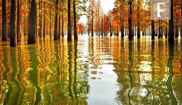 杭州工资水平一览表,杭州工资收入水平报告