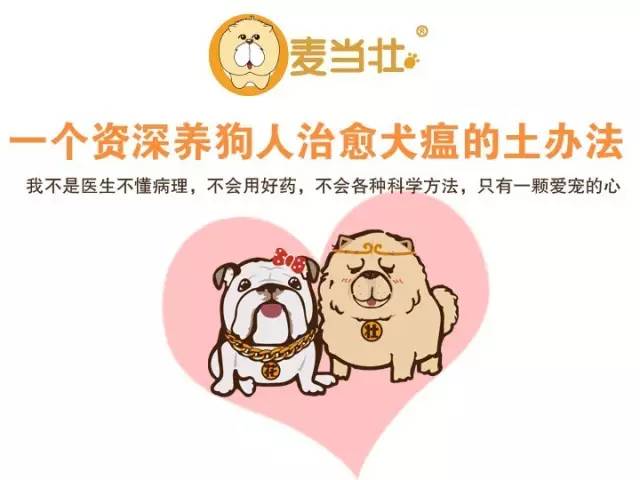 无证的兽医可以看病吗,无证兽医需要承担什么责任