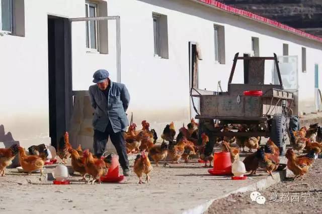 大通贫困村,大通县最穷的三个乡