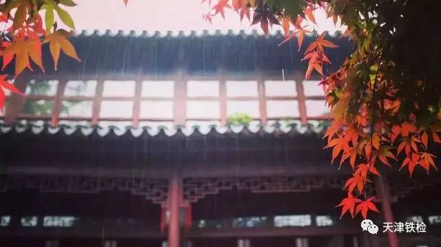 鍜岃皭鑷劧鎽勫奖浣滃搧,鍜岃皭鑷劧鎽勫奖浣滃搧娆ｈ祻