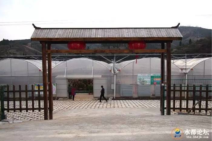 水都网友看农业感受水都新变化