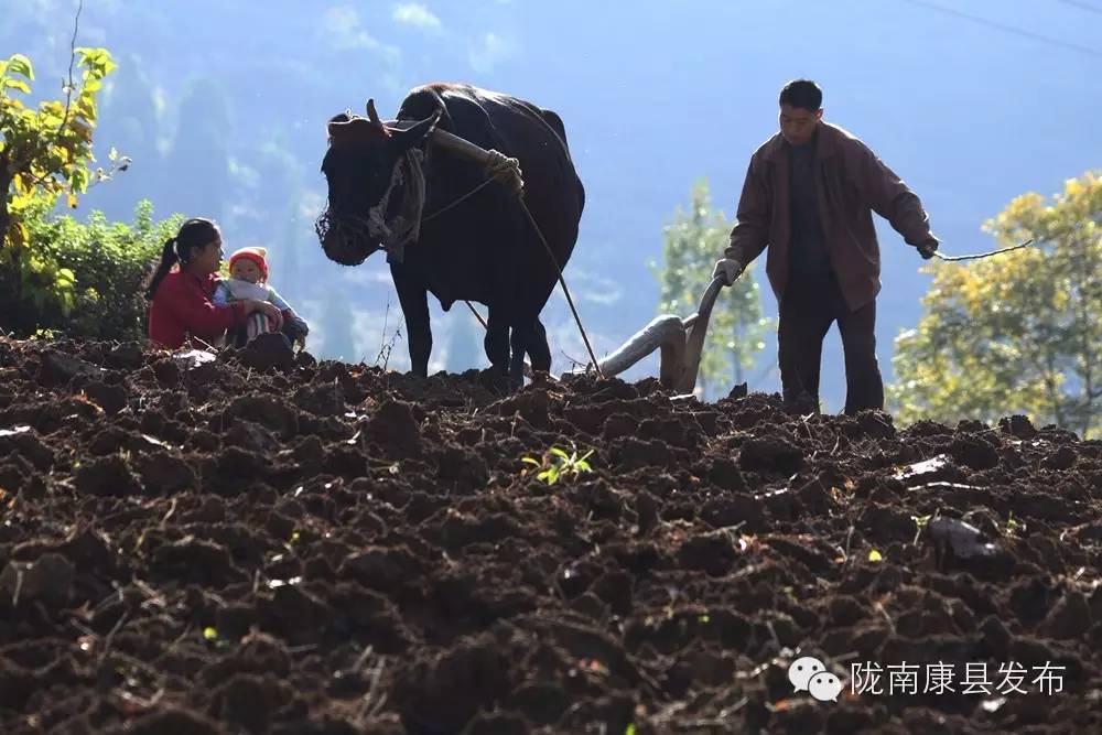 康县，这些平凡的烟火人生，会给你带来怎样的感动？