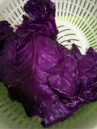 紫甘蓝祛湿疹,凉拌紫甘蓝功效与作用