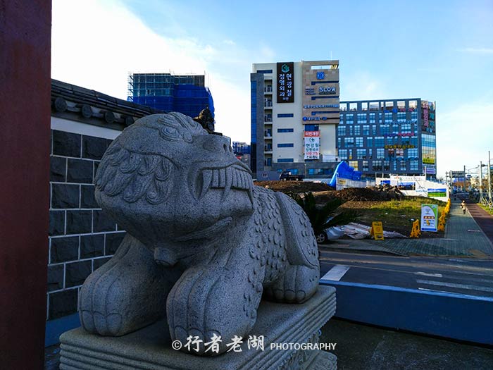 济州岛的苦逼生活,在济州岛的一天打卡