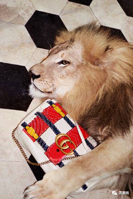 gucci2018春夏新款贝壳包,gucci2023春夏新款包包价格