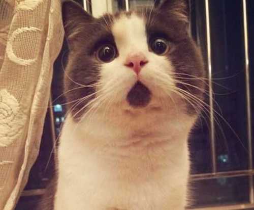 怎么才像老司机,怎么样才能真的成为老司机