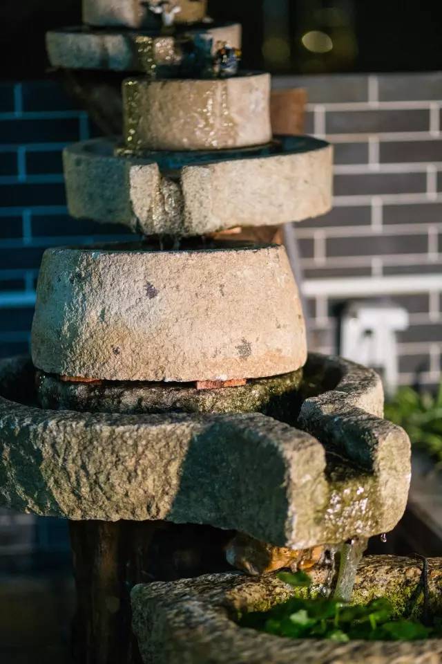 闇插彴澶氳倝鑺卞洯椁愬巺,澶氳倝妞嶇墿椁愬惂