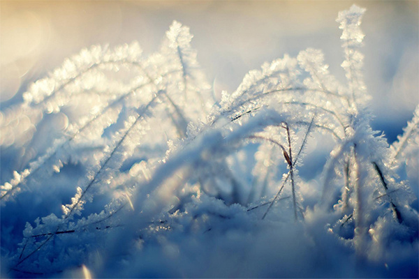 冬至了给你放个烟花,冬至我给你包饺子视频