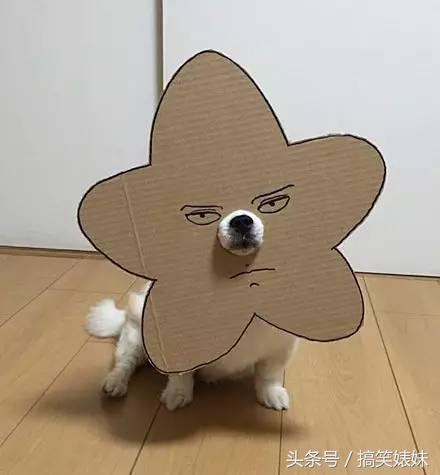 天太晚了，你要不就在这过夜吧