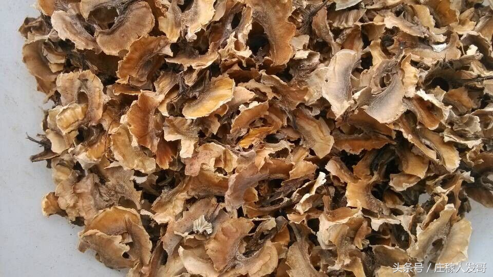 生活中常见的它竟有这些小妙用,这些扔掉的生活垃圾竟然都是宝