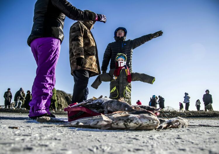 查干湖冬捕纪录片全集,查干湖冬捕地点在哪里