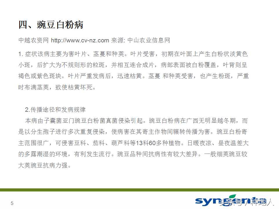 豆角种植防病方法,长豆角病虫害防治用什么农药