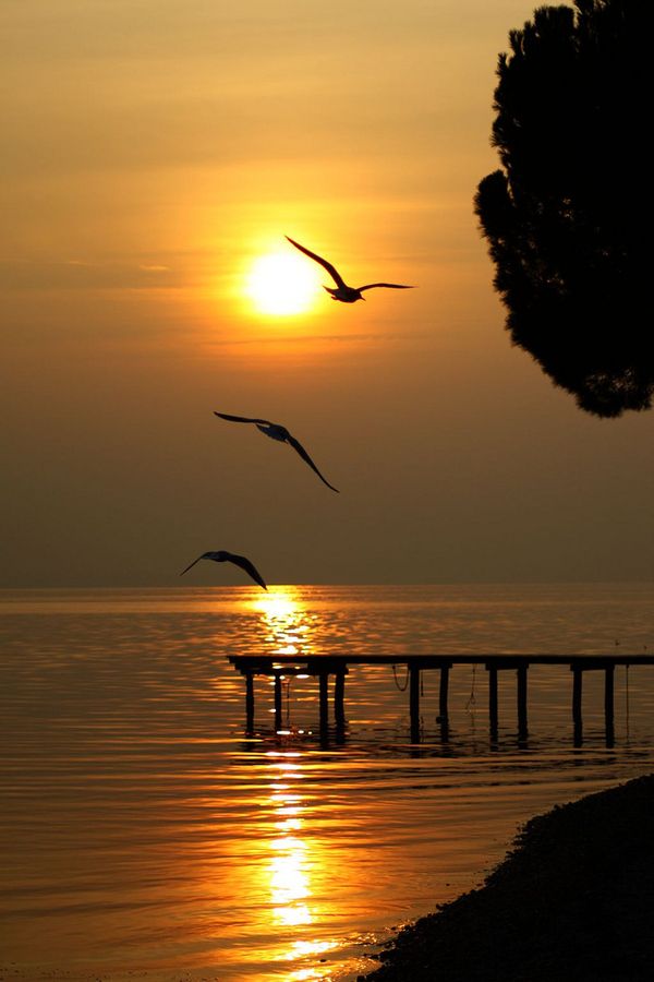 句句入骨的人生感悟30分钟,人生总结句句是真理经验之谈