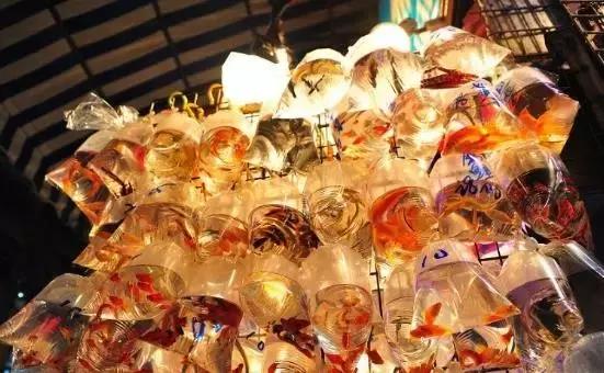 岁末2017,岁末将至今年又有什么新的遗憾呢