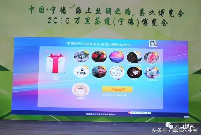 绿茶赏茶表演,福鼎白茶茶艺表演