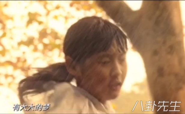 摆渡人不算王家卫的电影吗,摆渡人电影为何是烂片