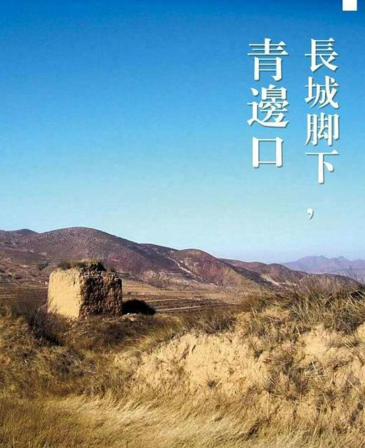 福田萨瓦纳怎么样,福田萨瓦纳有哪些缺点
