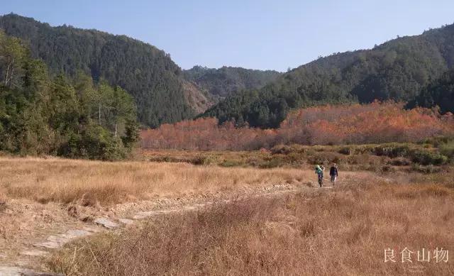 我心中的理想国,每个人心中都有一个理想国