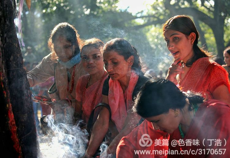 探秘尼泊尔牧羊人,探秘尼泊尔国家森林公园