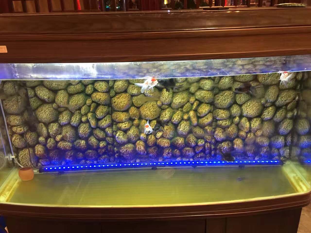 真的紫砂壶是不挂水的吗,真正的紫砂壶泡茶放几天都不会馊