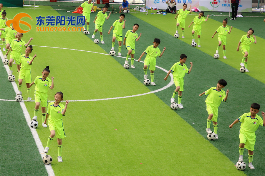 不说不知道！东莞校园足球原来那么牛！连专家都说整体水平可进省前五！