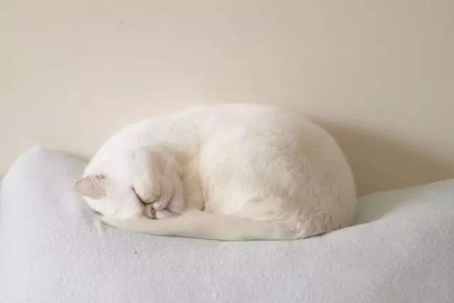 武志红你的人格足够坚韧吗,武志红拥有一个你说了算的人生