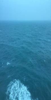 精致邮轮,千禧号游轮