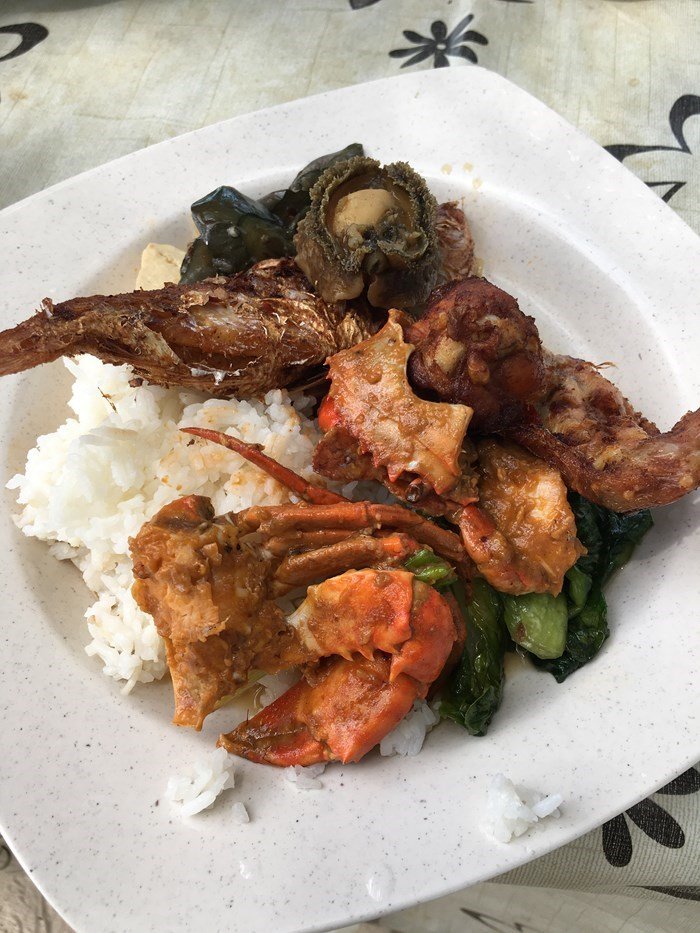 暑假新加坡马来西亚自由行,寒假带孩子去新加坡游玩攻略