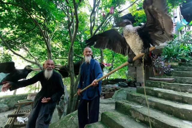 漓江老渔翁老照片,桂林山水渔翁与鸬鹚夜景高清图片