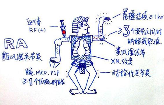 澳洲维骨力关节灵简介,澳洲最新关节炎治疗与研究