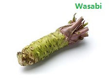 苹果的英文不是apple,苹果的英文发音是apple还是apple