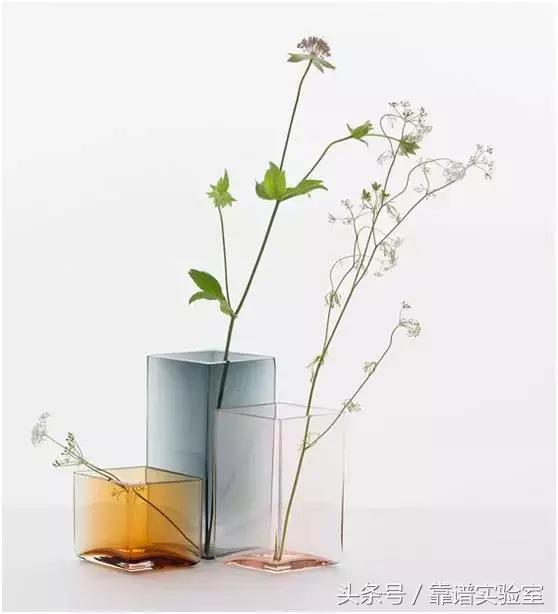 家居丨圣诞节,用花瓶装扮美美的家