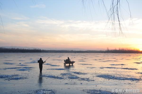 野鹅自驾红井路,野鹅自驾游最新视频