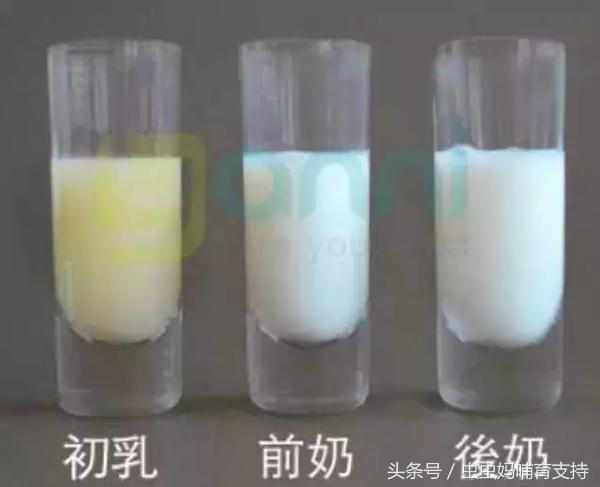 Word天呀，乳汁里有血，怎么办？