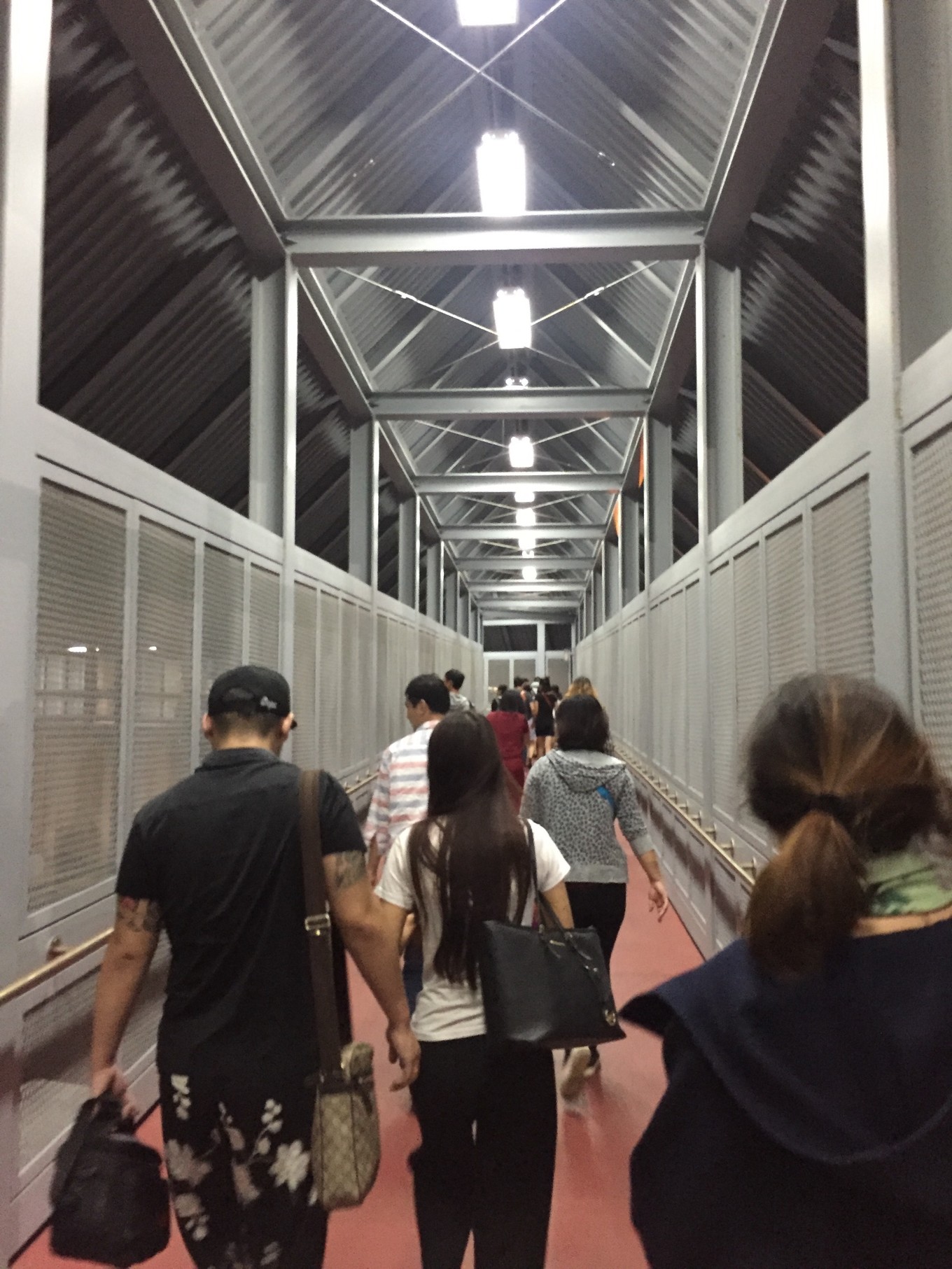 帕劳旅行攻略大全图文,帕劳旅行攻略图文大全