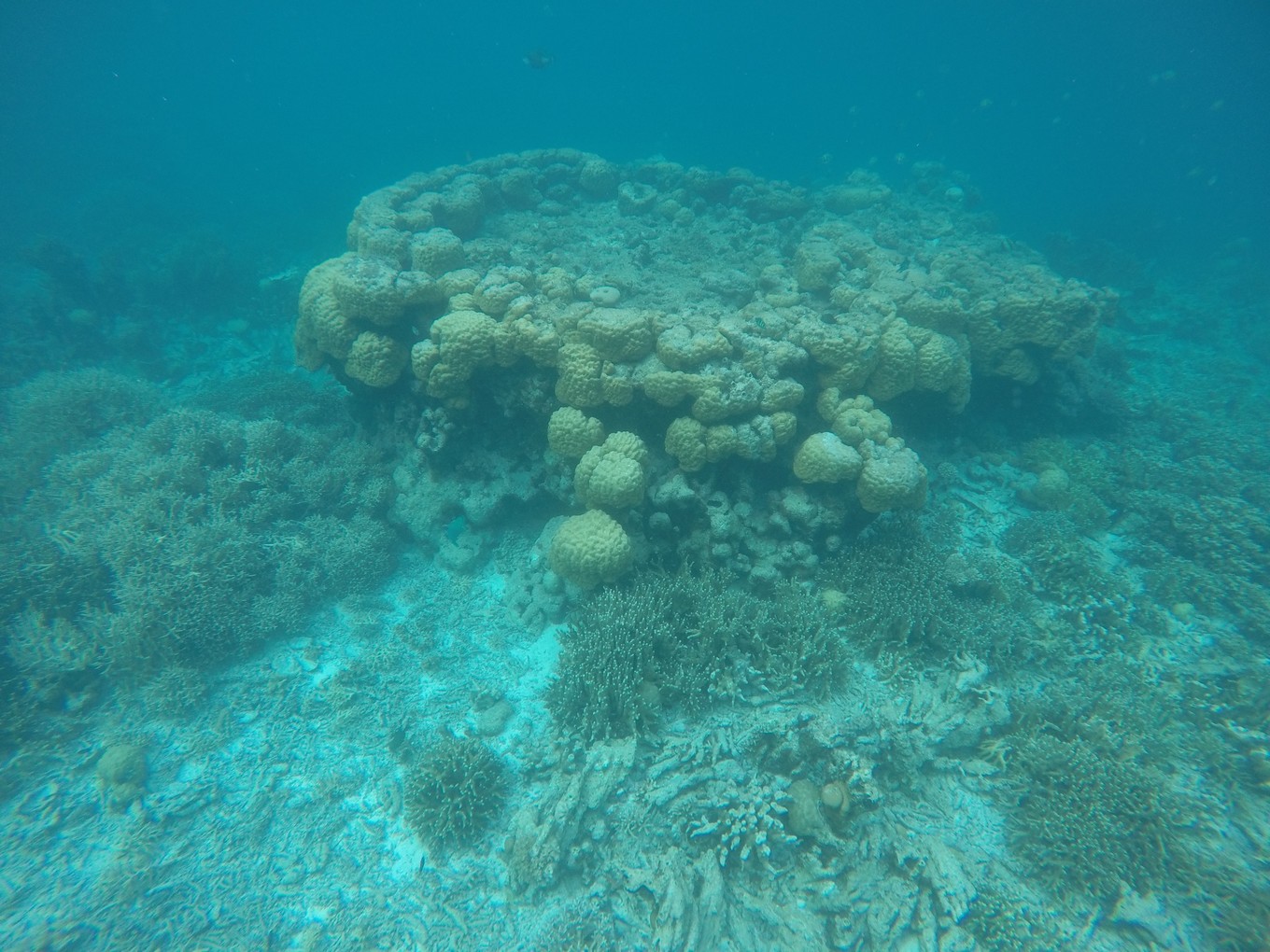 帕劳旅行攻略大全图文,帕劳旅行攻略图文大全