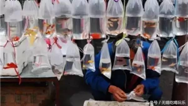 批发年货哪个网站批发划算,十大必备年货批发